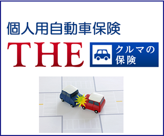 個人用自動車保険　Theクルマの保険：損保ジャパン